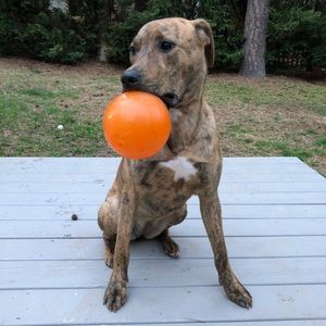 Meet your Posher, Jon